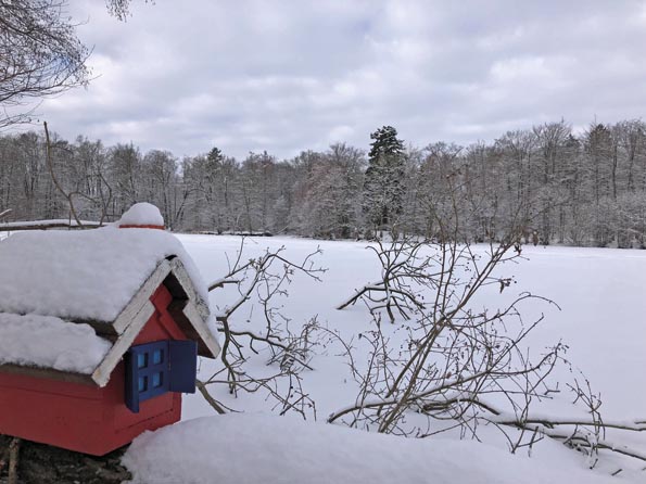 Halbtagswanderung-3 Halbtagswanderung-3