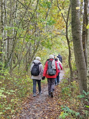 Boberg-20251025_101326-Schmale Wege nach Bergedorf Boberg-20251025_101326-Schmale Wege nach Bergedorf