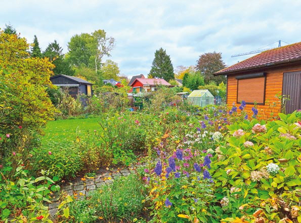 Boberg-20251025_114216-Laubenpieper Boberg-20251025_114216-Laubenpieper