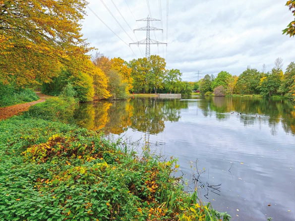 Boberg-20251025_115233-Bille Rückhaltebecken Boberg-20251025_115233-Bille Rückhaltebecken