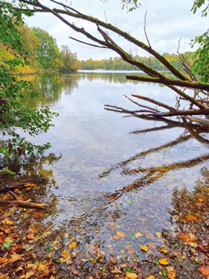 Boberg-20251025_152617-Baggersee Boberg-20251025_152617-Baggersee