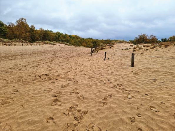 Boberg-20251025_160844-Dünen Boberg-20251025_160844-Dünen