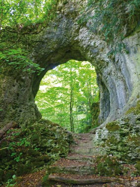 FS1-Das Felsentor bei Gößweinstein