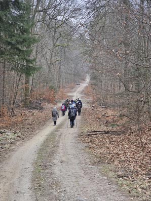 Gr�nkohl-20260124_102639-Langer Weg