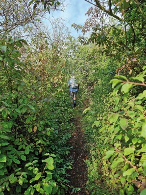Naumburg-20250909_101912-schmale Wege