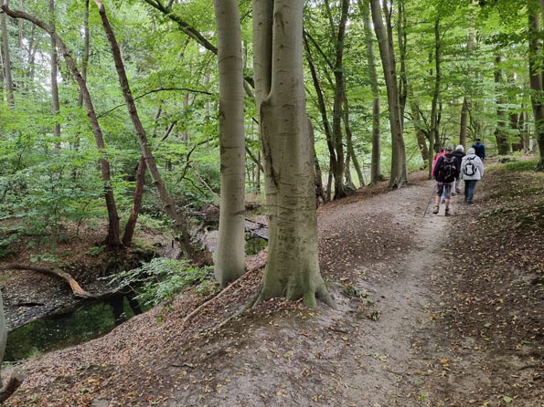 Duvenstedt-Ahrensburg-Ost-20250927_113111-An der Bredenbek Duvenstedt-Ahrensburg-Ost-20250927_113111-An der Bredenbek