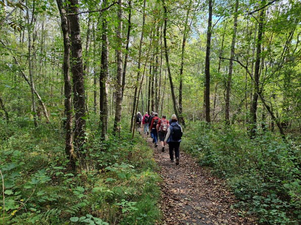 Duvenstedt-Ahrensburg-Ost-20250927_144713-Erlengrund Duvenstedt-Ahrensburg-Ost-20250927_144713-Erlengrund