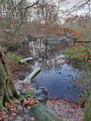 Kayhude-20251122_145741 Kayhude-20251122_145741